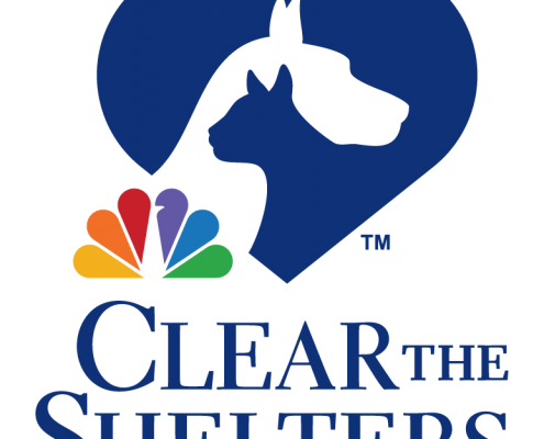 Clear the Shelters