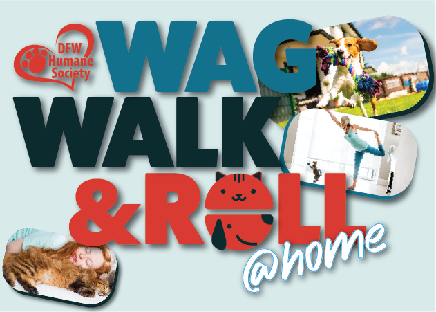 Wag, Walk & Roll @Home