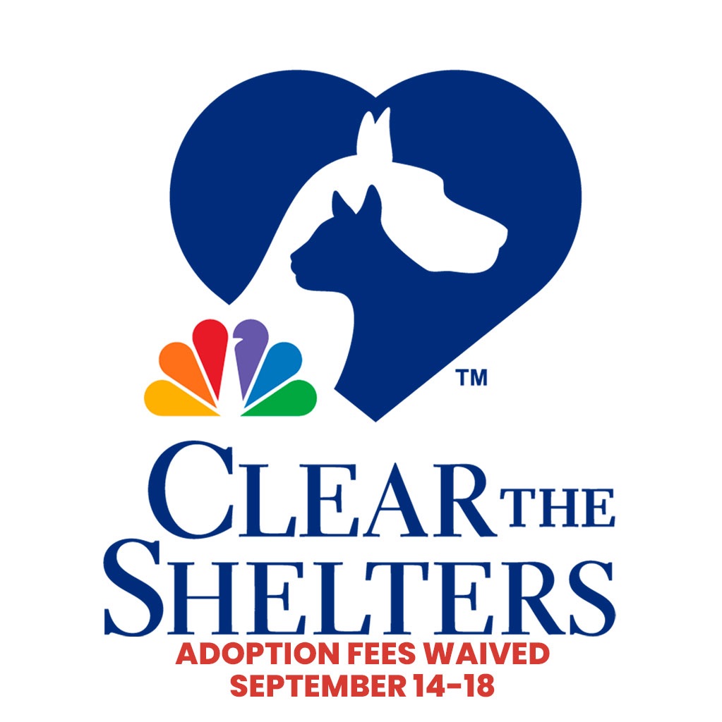 Clear the Shelters 2021