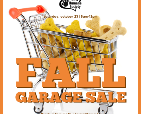 DFWHS Fall Garage Sale Details Coming Soon