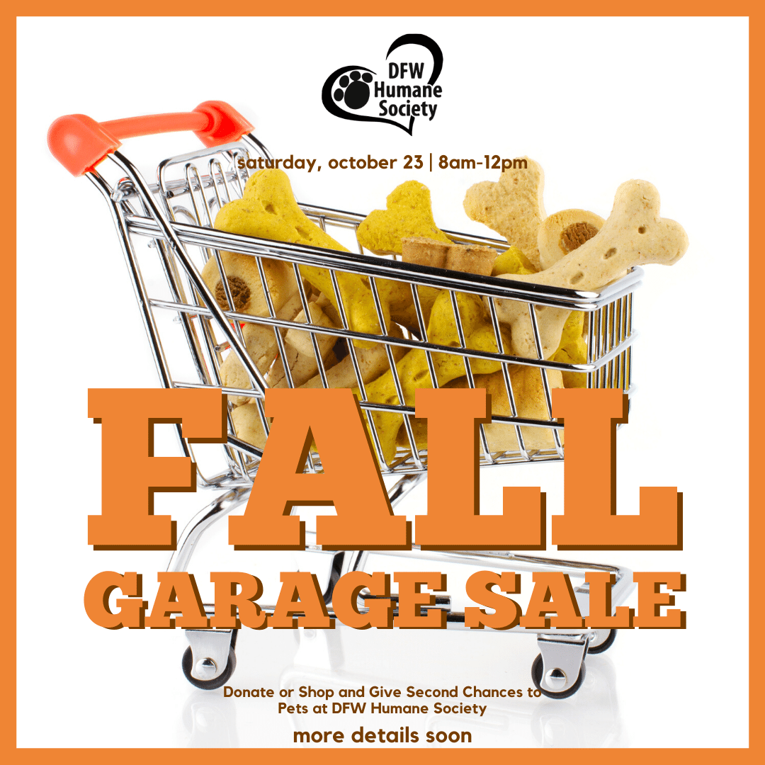 DFWHS Fall Garage Sale Details Coming Soon