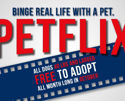 Petflix October Adoption Special