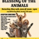 Hope Irving Blessing of the Animals