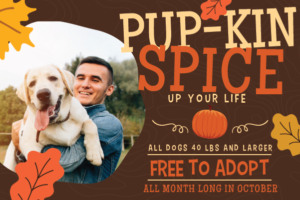 Pup-kin Spice Up Your Life