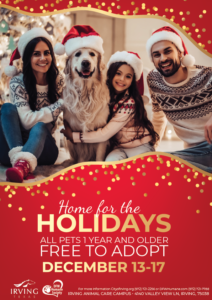 Home for the Holidays Flyer